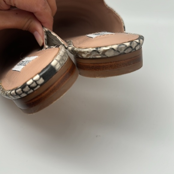 Steve Madden Mattis Python Snakeskin Pointed Toe Slip On Mules Flats Size 8.5 - Picture 10 of 12